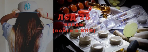 мяу мяу мука Алзамай