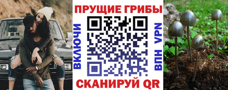 Галлюциногенные грибы Cubensis  Ясный 